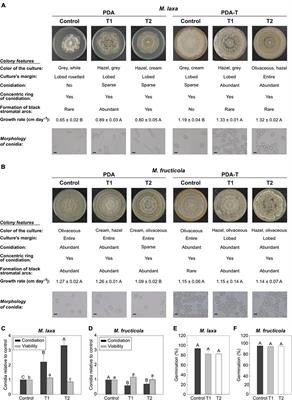 Light Intensity Alters the Behavior of Monilinia spp. in vitro and the Disease Development on Stone Fruit-Pathogen Interaction